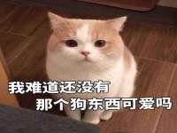 汕头市龙湖区林景致日用品店
