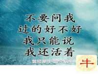 汕头市龙湖区林景致日用品店