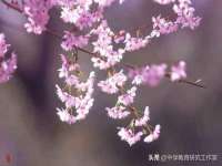 汕头市龙湖区林景致日用品店