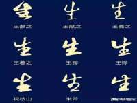 汕头市龙湖区林景致日用品店