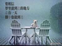 汕头市龙湖区林景致日用品店