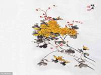 汕头市龙湖区林景致日用品店