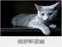 汕头市龙湖区林景致日用品店