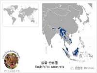 汕头市龙湖区林景致日用品店
