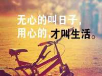 汕头市龙湖区林景致日用品店