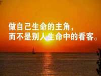 汕头市龙湖区林景致日用品店