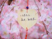 汕头市龙湖区林景致日用品店