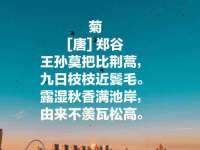 汕头市龙湖区林景致日用品店