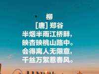 汕头市龙湖区林景致日用品店
