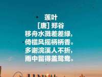 汕头市龙湖区林景致日用品店