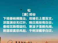 汕头市龙湖区林景致日用品店