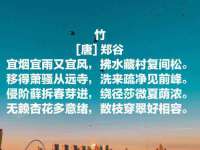 汕头市龙湖区林景致日用品店