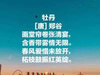 汕头市龙湖区林景致日用品店