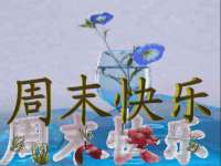 汕头市龙湖区林景致日用品店
