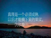 汕头市龙湖区林景致日用品店