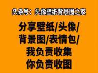 汕头市龙湖区林景致日用品店
