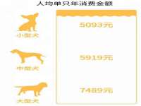 汕头市龙湖区林景致日用品店