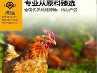 汕头市龙湖区林景致日用品店