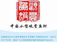 汕头市龙湖区林景致日用品店