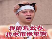 汕头市龙湖区林景致日用品店