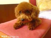 汕头市龙湖区林景致日用品店