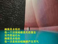 汕头市龙湖区林景致日用品店