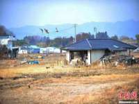 汕头市龙湖区林景致日用品店
