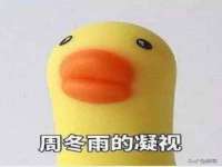 汕头市龙湖区林景致日用品店