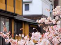 汕头市龙湖区林景致日用品店