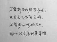汕头市龙湖区林景致日用品店